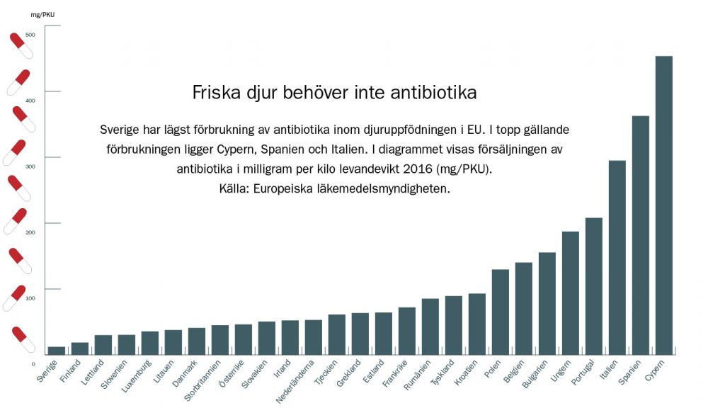 Diagram som visar antibiotikaförbrukningen hos djur i EU appropå halloumiskam.