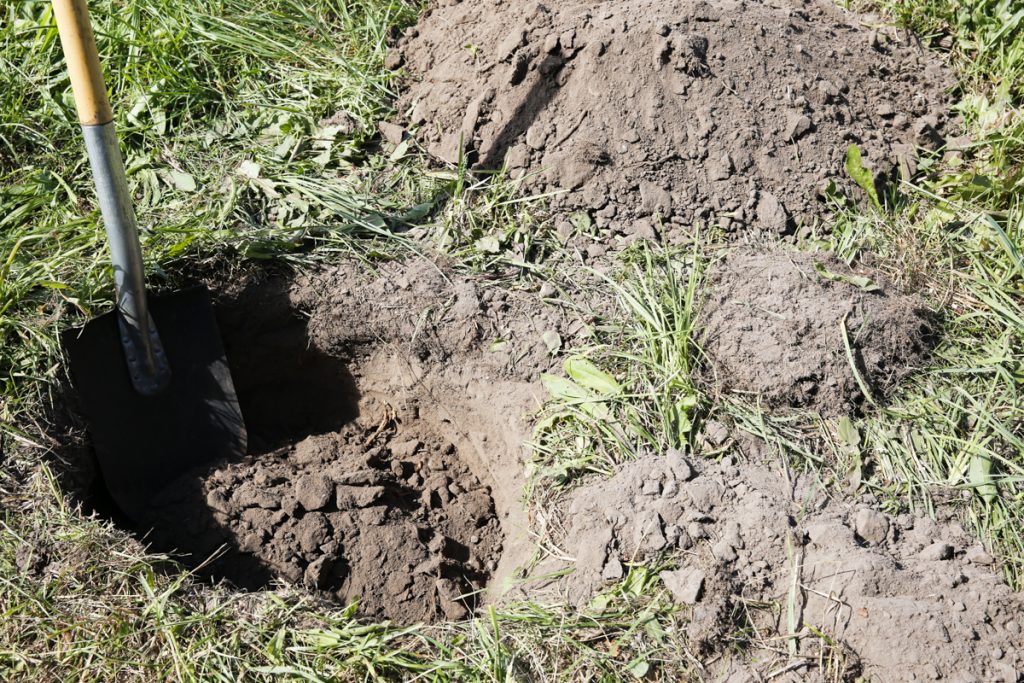 Gräv en rejäl grop i marken, tillräckligt bred och djup så att du får plats med både stenar och mat. 