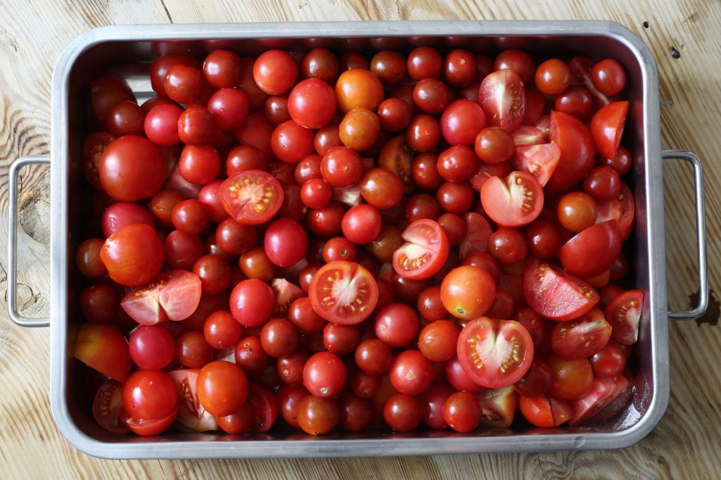 skogtillbord-tomatodling-feb18